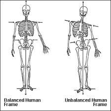 Comparison of balanced and unbalanced human skeletons with labels.