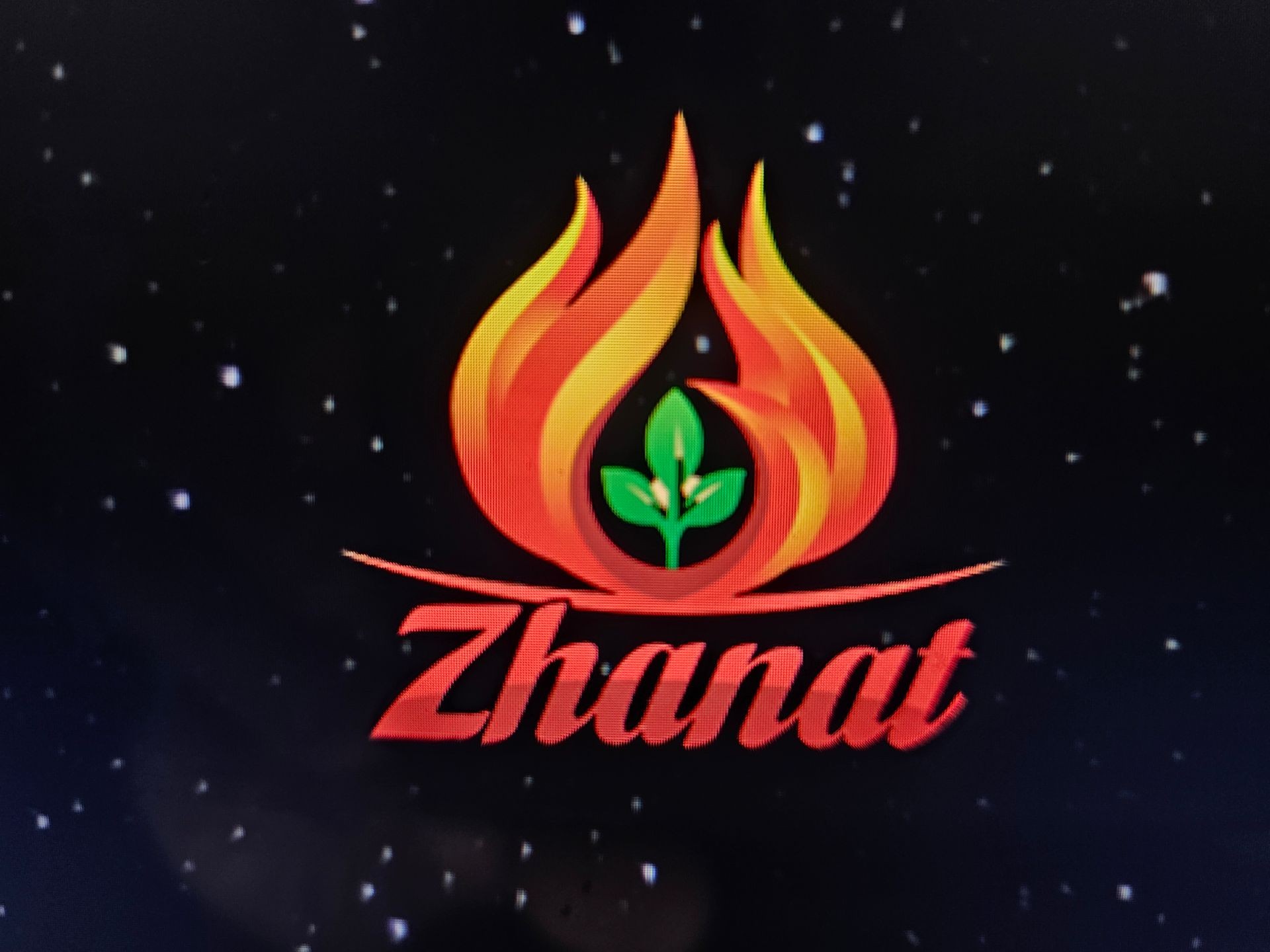Syucai Coaching